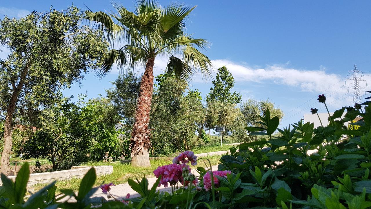 Sozos Inn Hotel Vonitsa Exterior foto